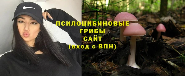 PSILOCYBIN Белокуриха