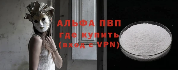 PSILOCYBIN Белокуриха