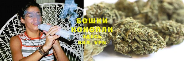 PSILOCYBIN Белокуриха