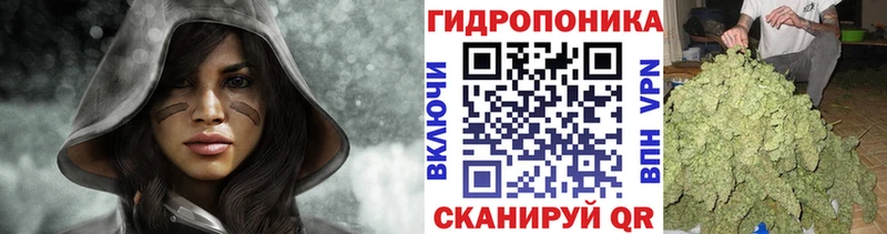 Бошки марихуана конопля Шуя